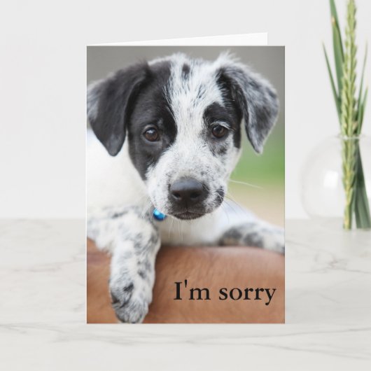 Es tut mir leid karte (Vorderseite)