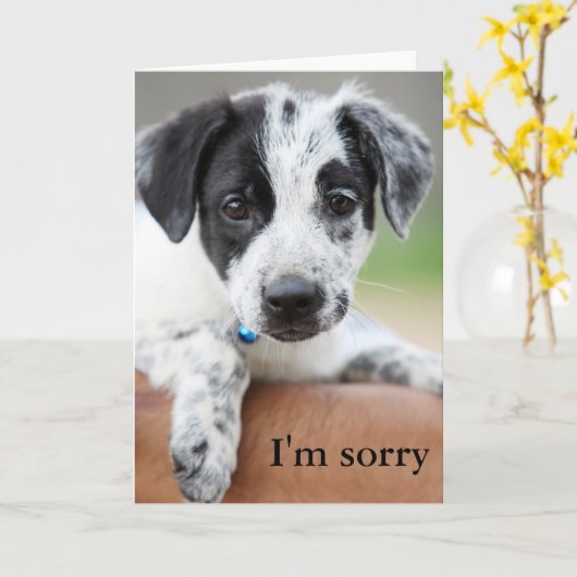 Es tut mir leid karte (Gelbe Blume)