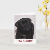 Es tut mir leid. Karte (Gelbe Blume)