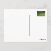 Es tut mir leid postkarte (Rückseite)