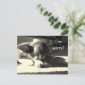 Es tut mir leid! postkarte (Stehend Vorderseite)
