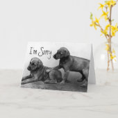 Es tut mir leid - Welpen-Freunde Karte (Gelbe Blume)