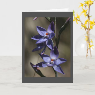 ES TUT MIR SEHR LEID WEGEN "IHRES VERLUSTES" KARTE