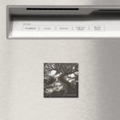 Es verbirgt sich hinter Sternen Magnet (In Situ (Geschirrspüler))
