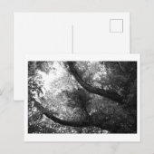 Es war einmal im Wald Postkarte (Vorne/Hinten)