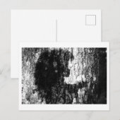 Es war einmal im Wald Postkarte (Vorne/Hinten)