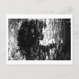 Es war einmal im Wald Postkarte