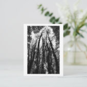 Es war einmal im Wald Postkarte (Stehend Vorderseite)