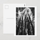 Es war einmal im Wald Postkarte (Vorne/Hinten)