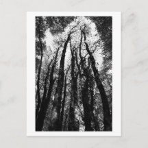 Es war einmal im Wald