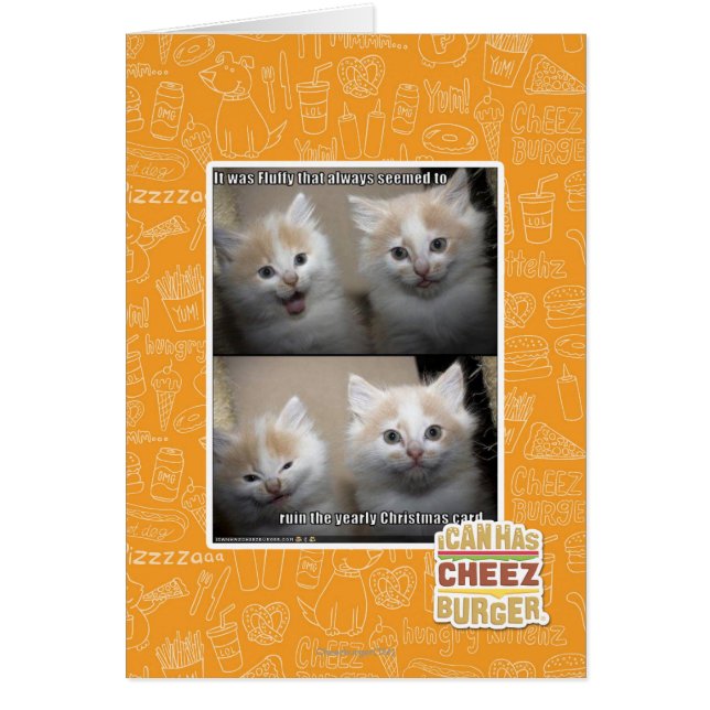 Es war Fluffy (Vorne)