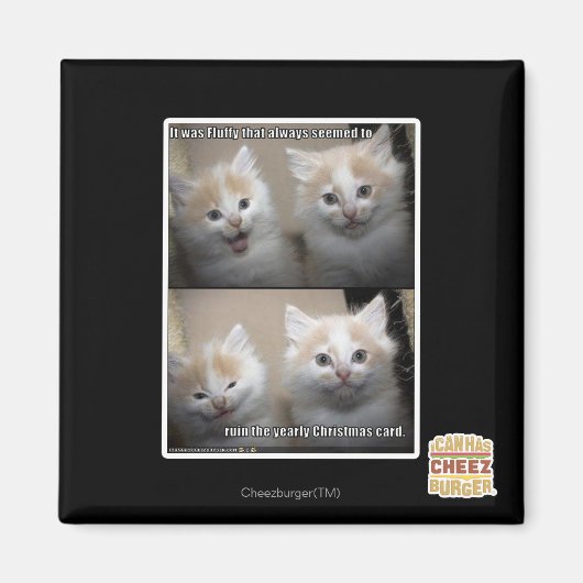 Es war Fluffy Magnet (Vorne)