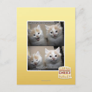 Es war Fluffy Postkarte