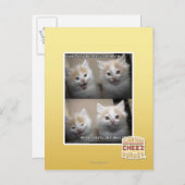 Es war Fluffy Postkarte (Vorne/Hinten)