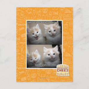 Es war Fluffy Postkarte