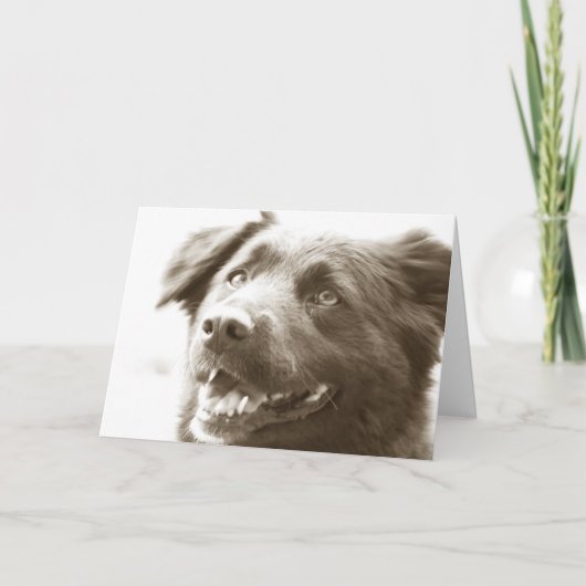 Es war groß, Sie sehend! Dankeskarte (Vorderseite)