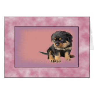 Es war Liebe auf den ersten Blick