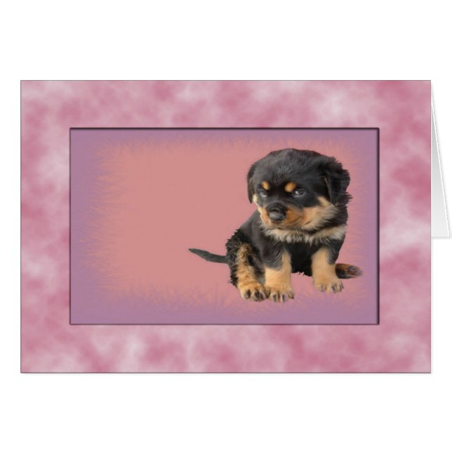 Es war Liebe auf den ersten Blick (Vorderseite (Horizontal))