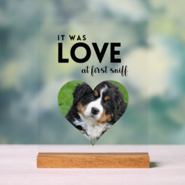 Es war LIEBE Custom Foto Dog Memorial Acrylschild
