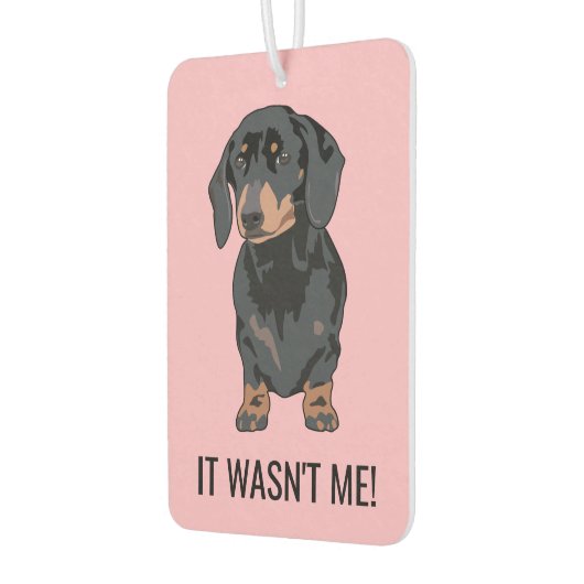 Es war lustig, dass ich Dackel-Hund nicht hatte Autolufterfrischer (Links)