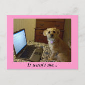Es war nicht ich... Postkarte (Vorderseite)