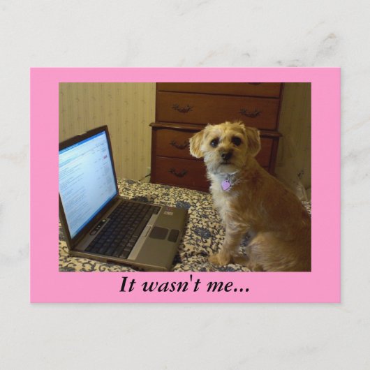 Es war nicht ich... Postkarte (Vorderseite)