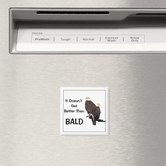Es wird nicht besser als BALD Magnet (In Situ (Geschirrspüler))