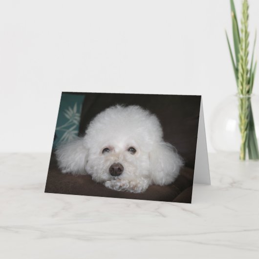 Es wird schon okay sein Hund Karte (Vorderseite)