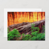 Escalante Neon Canyon und Foliage | Utah Postkarte (Vorne/Hinten)