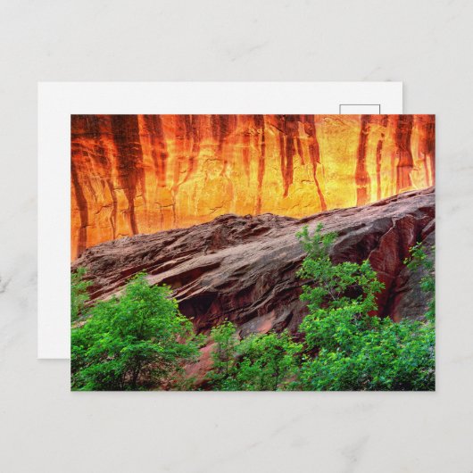 Escalante Neon Canyon und Foliage | Utah Postkarte (Vorne/Hinten)