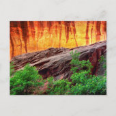 Escalante Neon Canyon und Foliage | Utah Postkarte (Vorderseite)