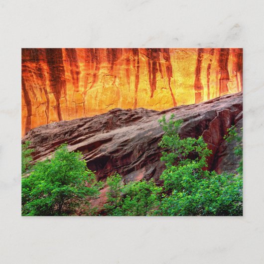 Escalante Neon Canyon und Foliage | Utah Postkarte (Vorderseite)
