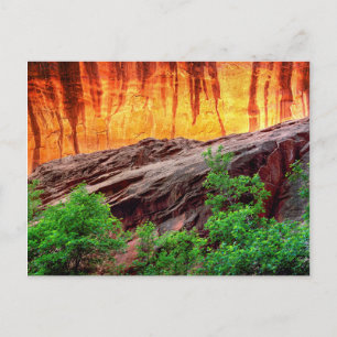 Escalante Neon Canyon und Laubwerk Utah Postkarte