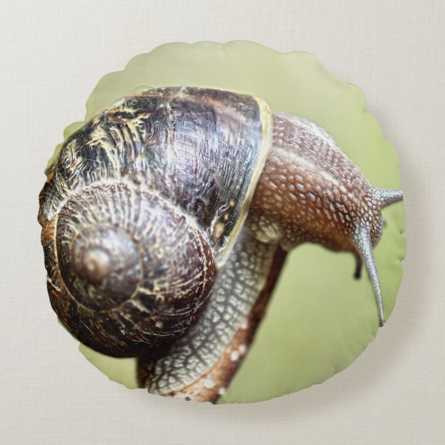 Escargot - Die große Freude Rundes Kissen (Vorderseite)