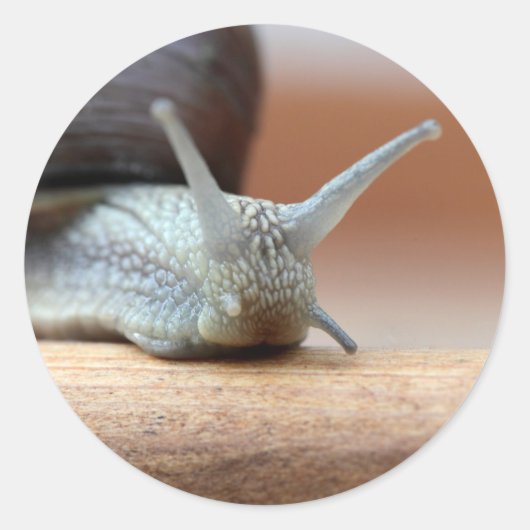 Escargot Runder Aufkleber (Vorderseite)