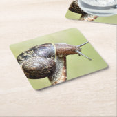 Escargots - Die große Freude Rechteckiger Pappuntersetzer (angewinkelt)