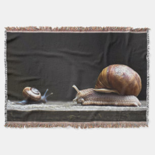 Escargots - Schneckenmuschel Decke