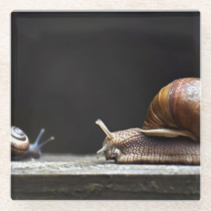 Escargots - Schneckenmuschel Glasuntersetzer