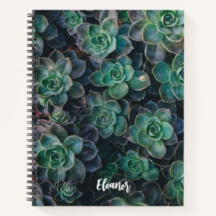 Esceveria Succulent Pflanze Themed Notebook Notizblock