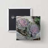 Escheveria Button (Vorne & Hinten)