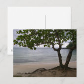 Escondido Beach Postkarte (Vorne/Hinten)