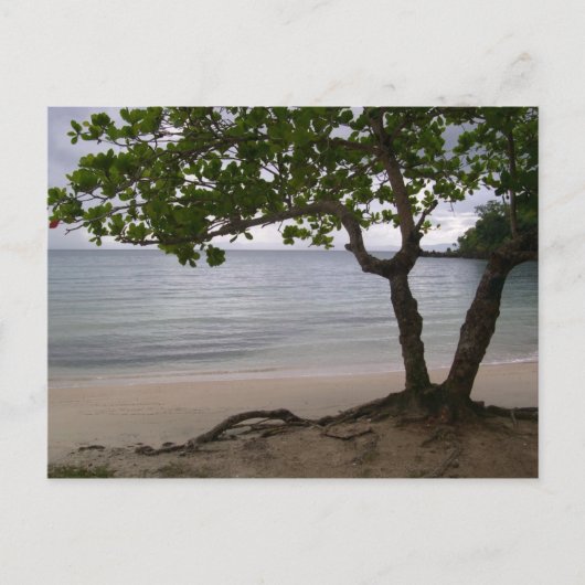 Escondido Beach Postkarte (Vorderseite)