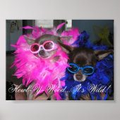 Ese and Lola Go Hollywood Poster (Vorne)