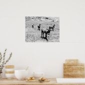 Esel 001 poster (Küche)