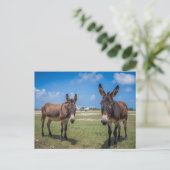 Esel am Flughafen Postkarte (Stehend Vorderseite)