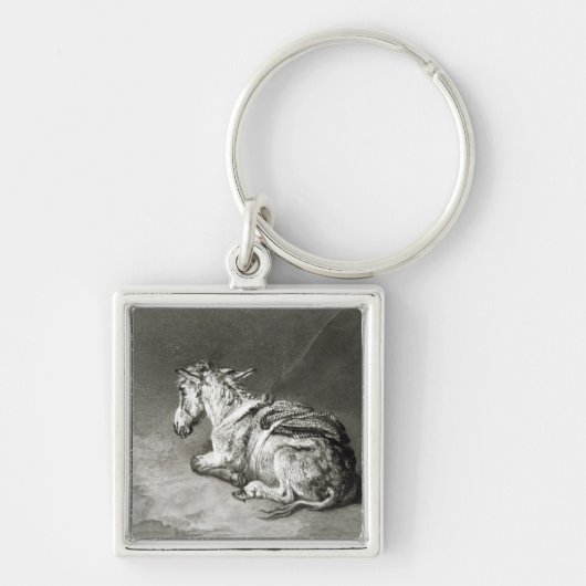 Esel an der Erholung Schlüsselanhänger (Vorne)