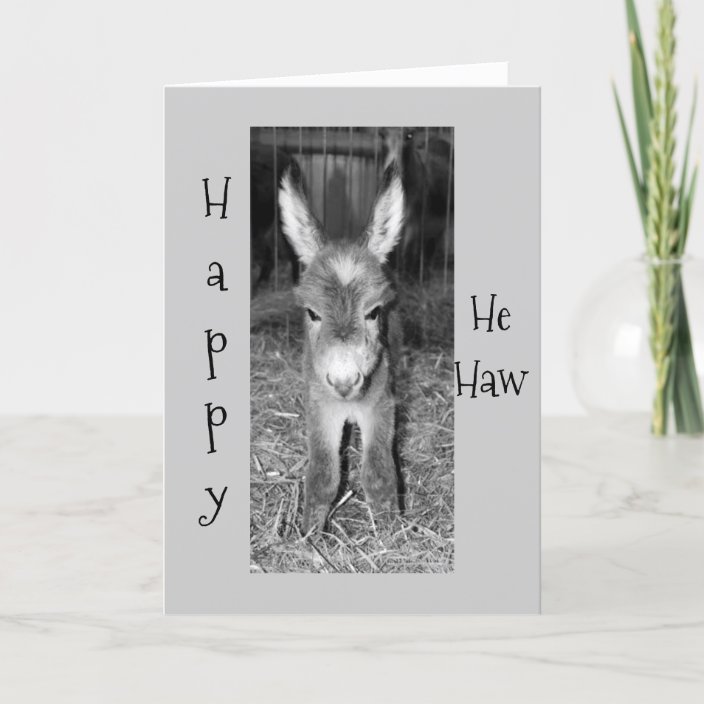 ESELBABY SAGT, DASS GLÜCKLICH "ER" GEBURTSTAG ZU KARTE Zazzle.de