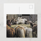 Esel des runden Tisches Postkarte (Vorne/Hinten)