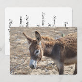 Esel Einladung (Vorne/Hinten)