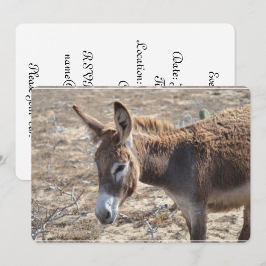 Esel Einladung (Vorne/Hinten)